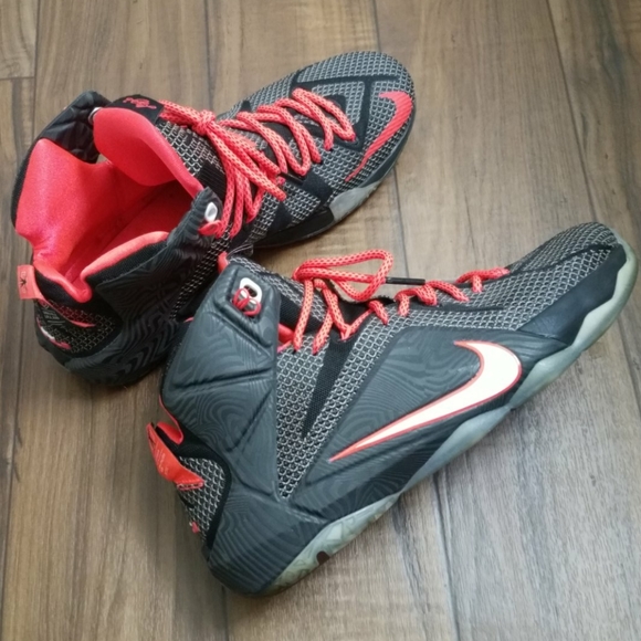 lebron james the twelve shoes price